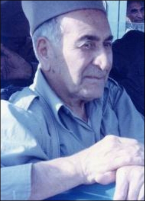 ناصرخان قشقایی در انتخابات چند دوره از مجلس شورای ملی به نمایندگی و وکالت مجلس شورای ملی در زمان پهلوی اول رسید.